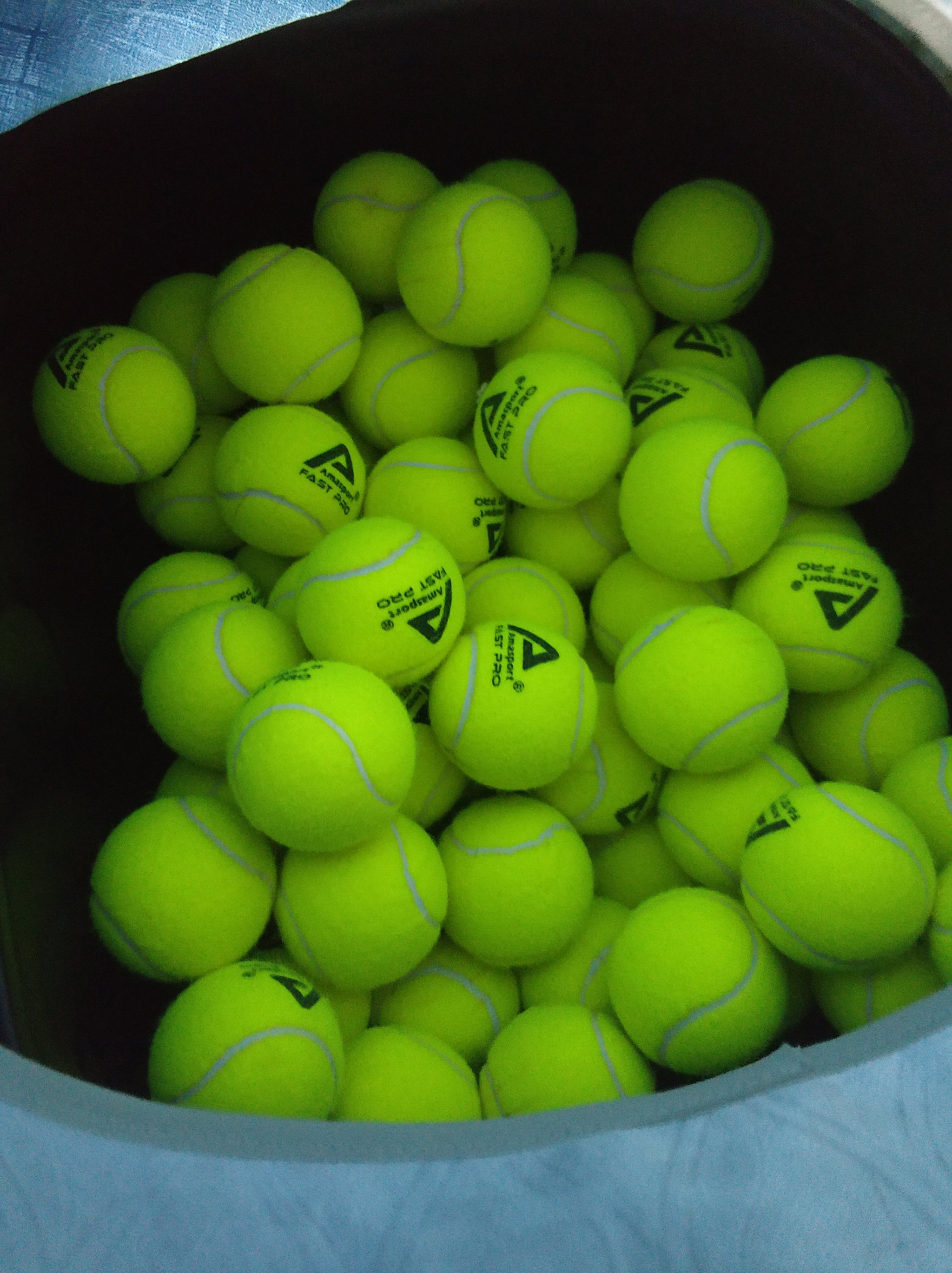 阴阳合同 阴阳合同